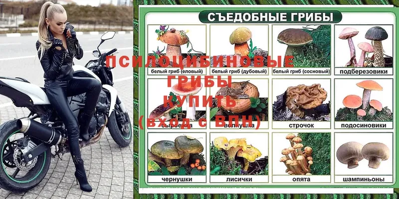 Псилоцибиновые грибы Magic Shrooms  Туймазы 